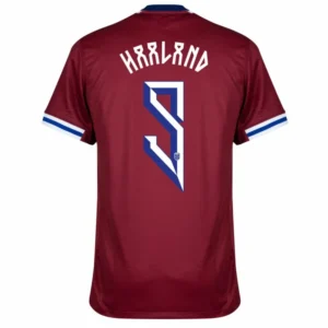 Norway Nation Home Haaland 9 Shirt 2024-2025 Player version Size£ºS-2XL Non-Customize