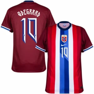 Norway Nation Home ?degaard 10 Shirt 2024-2025 Fan Size£ºS-2XL Non-Customize