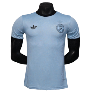 Adidas Germany 125th Anniversary Blue Goalkeeper Shirt Player Version 2025